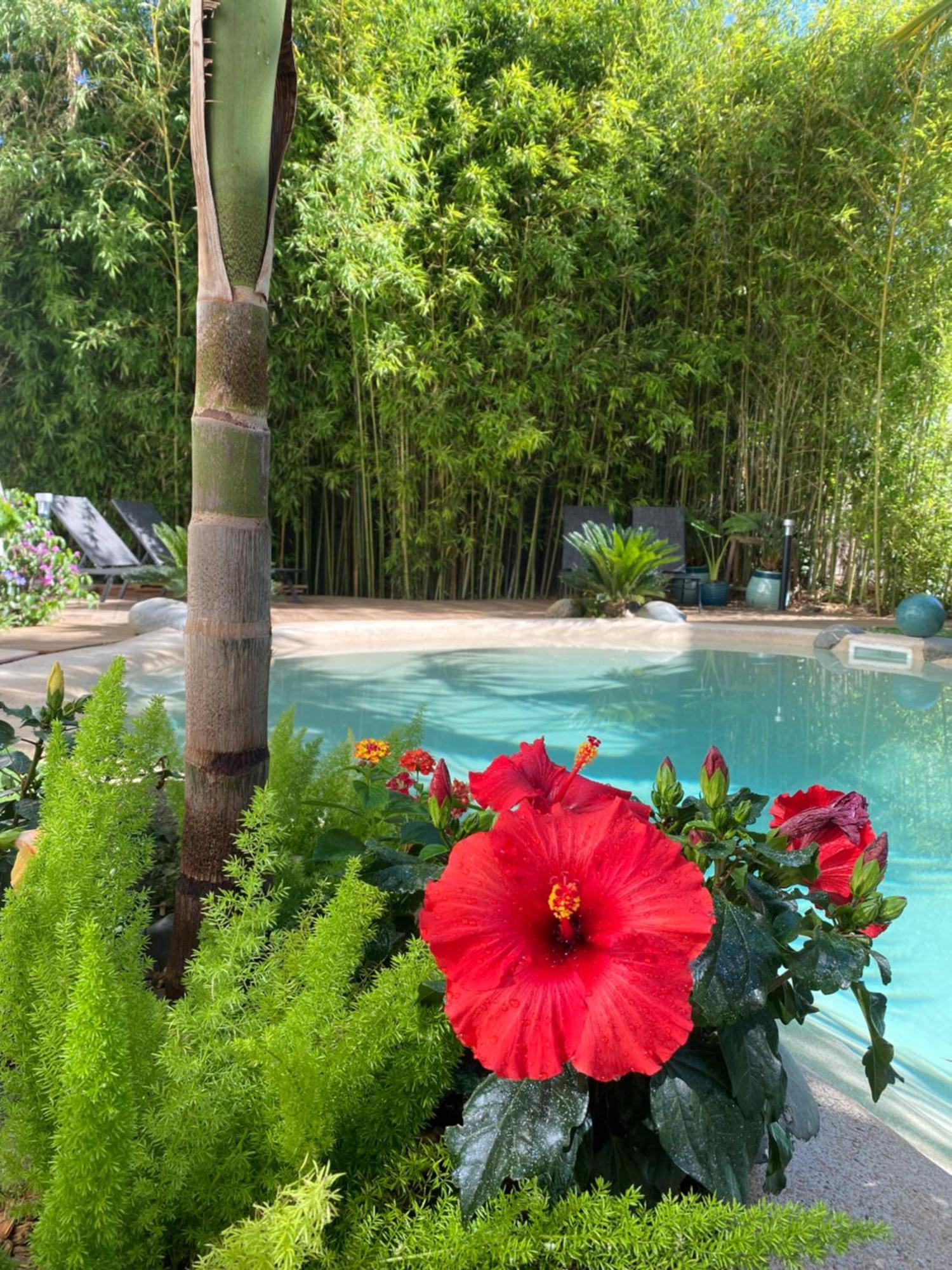 Apartament Appt Ambiance Chalet 2Ch Piscine Lagon Tarbes Zewnętrze zdjęcie
